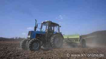 Ukraine sorgt sich um Ernte: Könnte 2023 um 40 Prozent geringer ausfallen