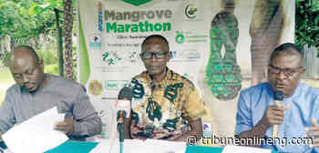 International Day for Mangrove: Warri to host 10km marathon - Tribune Online