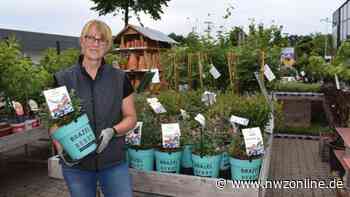 Oldenburger Wohngarten/ Vorwerk Gartenwelt Rastede: Einfach lecker: Von der Hand in den Mund - Nordwest-Zeitung