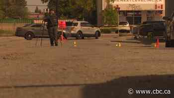 Death in southeast Calgary was result of hit-and-run, police say