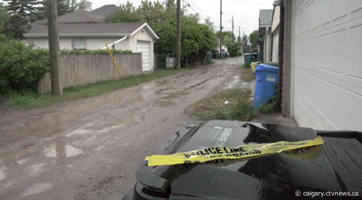 Alberta Health Services' CEO to speak on fatal dog attack in Calgary