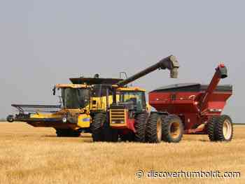 New scholarship announced for Manitoba and Saskatchewan students - DiscoverHumboldt.com