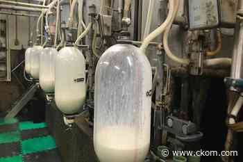 Saskatchewan dairy farmer says industry seeing 'unprecedented' costs - CKOM News Talk Sports