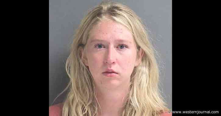 4 Dogs Die After Being Left in a Running Car with A/C on: Owner Charged with Felony Animal Cruelty