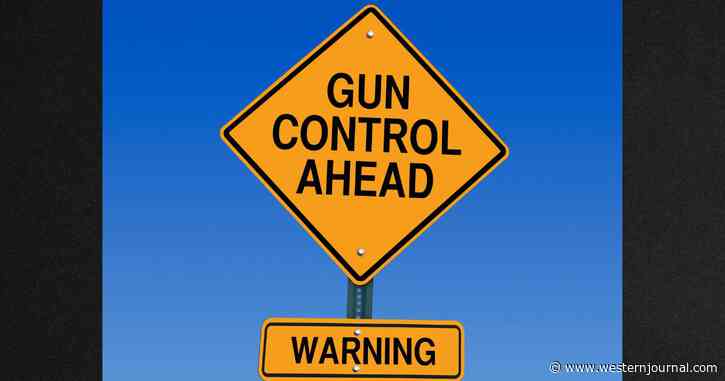 House Passes Tyrannical Gun Bill: Includes Magazine Capacity Bans, Other Abuses of Power