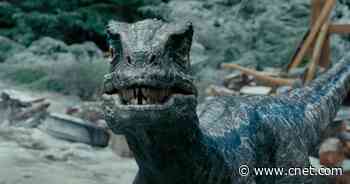 'Jurassic World Dominion' Isn't Streaming -- and Won't Be for Awhile     - CNET