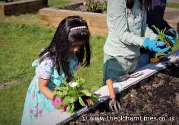 Grants of up to £40,000 now available for Oldham green spaces - The Oldham Times