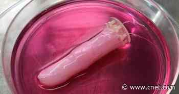 Scientists Craft 'Living Skin' for Robots, Made of Human Cells     - CNET