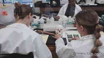 M.A.S.H. program gives students a head start on medical careers - KALB