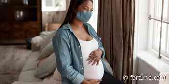 COVID during pregnancy doubles babies’ risk of developmental delays according to medical study - Fortune