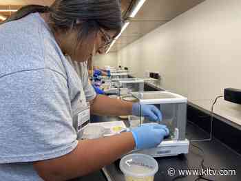 UT Tyler medical summer camp helps students explore career options - KLTV