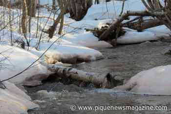 BC rivers are vulnerable to flooding: River Forecast Centre - Pique Newsmagazine