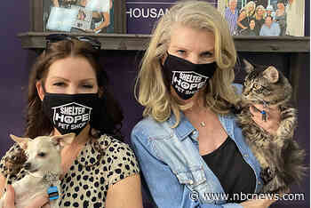 Animal shelter to NRA and gun restriction foes: No pets for you