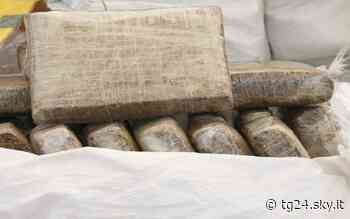 Spaccio a Colleferro, arrestato ragazzo di 20 anni - Sky Tg24