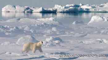 Russia not invited as Arctic Council resumes meetings - Nanaimo News NOW