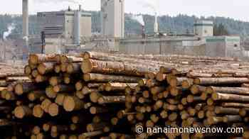 West Fraser Timber raising quarterly dividend by 20 per cent - Nanaimo News NOW