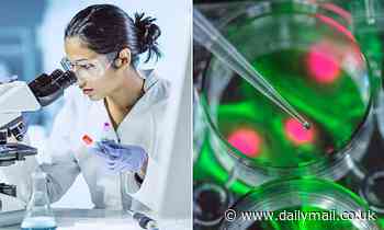 Are we on the verge of a cure for cancer? This week, scientists announced breakthroughs with vaccine