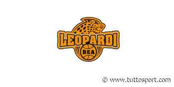 BEA Chieri, i Leopardi alle Final Four di Coppa Piemonte - Tuttosport