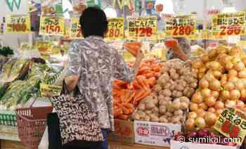 Japans Wirtschaft schrumpft nicht ganz so stark wie befürchtet - Sumikai