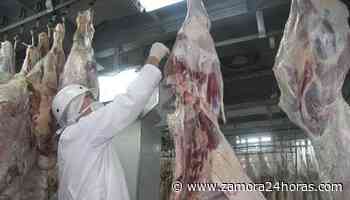 Luz verde para la construcción en Zamora de una de las mayores plantas cárnicas de vacuno de España - Zamora 24 Horas