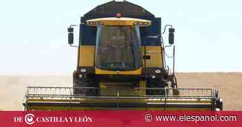 La previsión de malas cosechas en Zamora, León y Salamanca llega a las Cortes de Castilla y León - EL ESPAÑOL