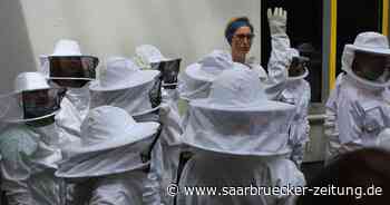 Digitalisierung vom Bienenprojekt am Gymnasium am Steinwald in Neunkirchen - Saarbrücker Zeitung