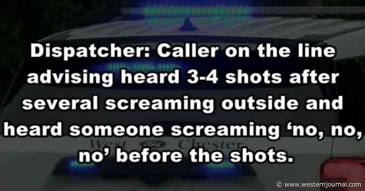 Good Guy with Gun Stops Bad Guy: Homeowner Absolutely Levels Violent Home Intruder