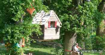 Sprookjesbos verhuist wegens slecht weer naar maandag - Het Laatste Nieuws