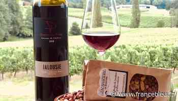 Le domaine de Pribat à Benesse-les-Dax, un domaine viticole plus que centenaire - France Bleu