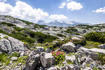 Berge im TV: vom Veltlin über die Wiener Alpen bis Dachstein und Aletschgletscher. - ALPIN - Das Bergmagazin