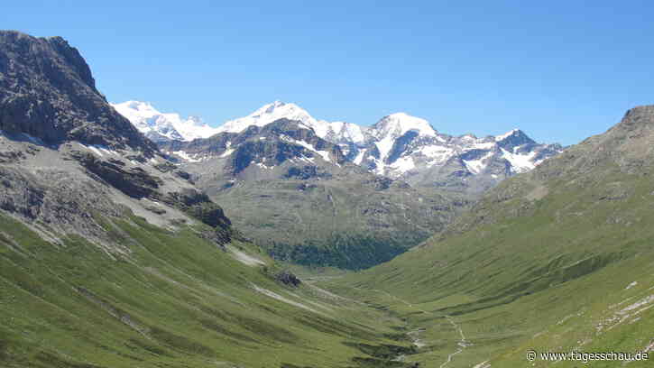 Studie zum Klimawandel: Das Grün bedroht die Alpen-Flora - tagesschau.de