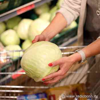 Umweltbundesamt: Fleisch teurer machen - Gemüse billiger - Radio Bonn / Rhein-Sieg - radiobonn.de