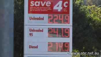 Brisbane's petrol prices tipped to hit record highs, drivers told to fill up now