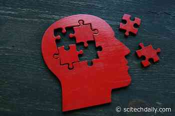 Serious Head Injuries Increase Your Risk of Dementia by 50%