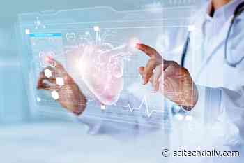 Be Careful of Overeating While Pregnant: Maternal Obesity Greatly Increases a Child’s Risk of Heart Problems