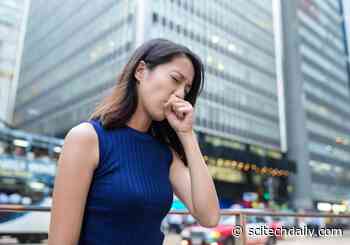 Eat These Vegetables To Reduce Air Pollution Toxins in Your Body