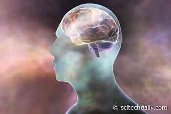 Having Strange Dreams? They Might Be Helping Your Brain Learn Better