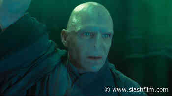 Voldemort's Makeup Was A Miserable Experience For Ralph Fiennes - /Film