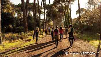 Tramonto a San Rossore Eventi a Pisa - PisaToday