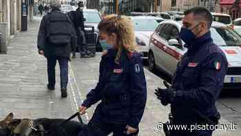 Importuna i clienti di un locale: in tasca pietre da lanciare a passanti e forze dell'ordine - PisaToday