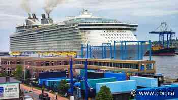 Saint John's new container village plays host to city's largest-ever cruise ship - CBC.ca