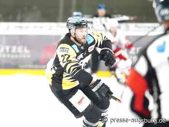 Hafenrichter bleibt den Indians erhalten – Meisinger erster Neuzugang des ECDC Memmingen - Presse Augsburg