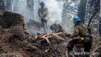 Black Fire becomes New Mexico's 2nd largest fire in the state's history