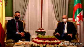 La prensa argelina llama a derribar «al temerario socialista» Sánchez si España quiere conservar el gas - Okdiario