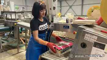 Frontignan : Marédoc a institué le congé menstruel - Midi Libre