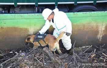 Toter Bub in der Donau: Polizei sucht Zeugen mittels Flugblatt - Passauer Neue Presse - PNP.de