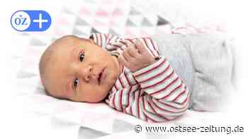 Babyglück in Stralsund: Willkommen Leonie, Til und Carlotta! - Ostsee Zeitung
