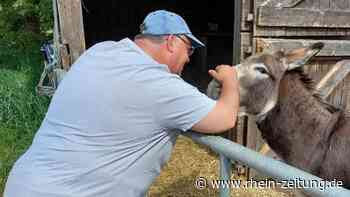 Therapie am Kloster Ebernach in Cochem: Wenn Tiere Menschen zum Sprechen bringen - Rhein-Zeitung