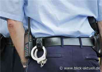 Cochem: Hund durch Stachelhalsband massiv verletzt - Blick aktuell