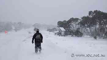 'Nightmare waiting to happen' for ski operators as snow season gets underway